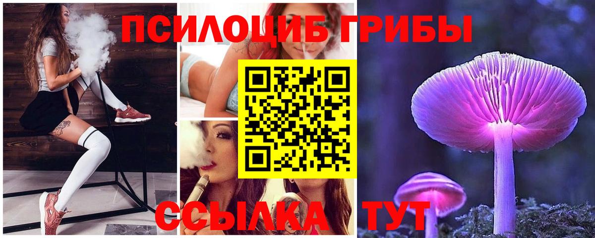 Обнинск  Галлюциногенные грибы прущие грибы  Вход с VPN 