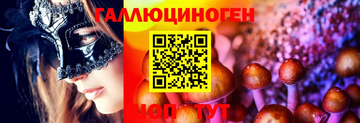 Псилоцибиновые грибы Psilocybine cubensis Обнинск
